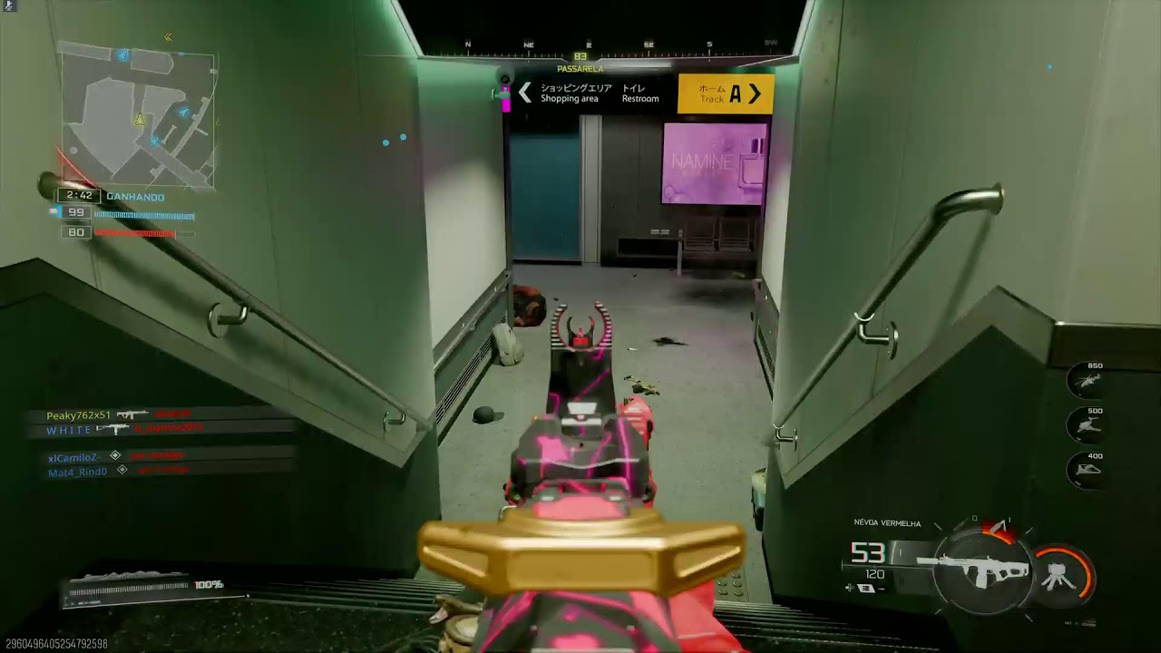 Cod Multiplayer