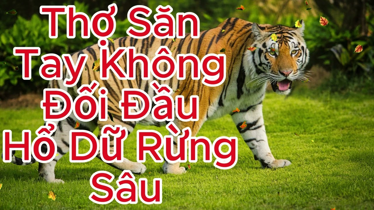 THỌ SĂN TAY KHÔNG ĐỐI ĐẦU HỎ DỮ RỪNG SÂU.