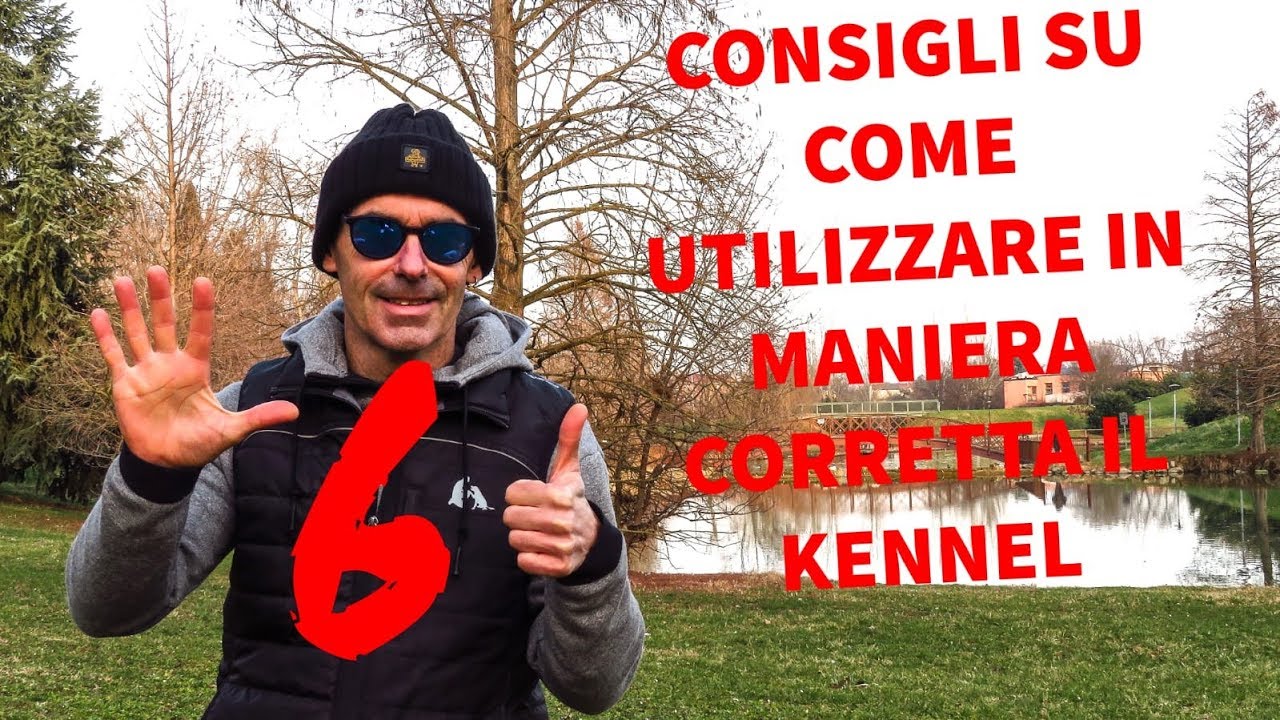 6 consigli su come utilizzare in maniera corretta il Kennel in casa