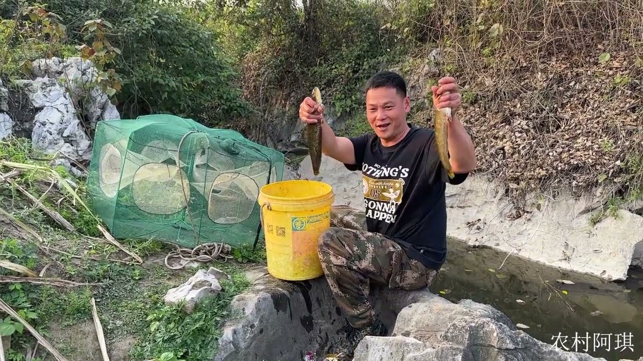阿琪好久没搞野抓鱼，今天深潭里抓到好多，这运气也太给力了