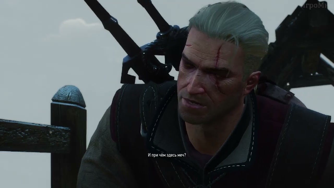 The Witcher 3 №10