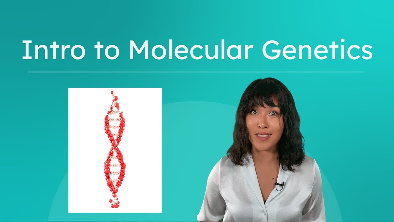 Intro to Molecular Genetics - DNA and Genetic Information