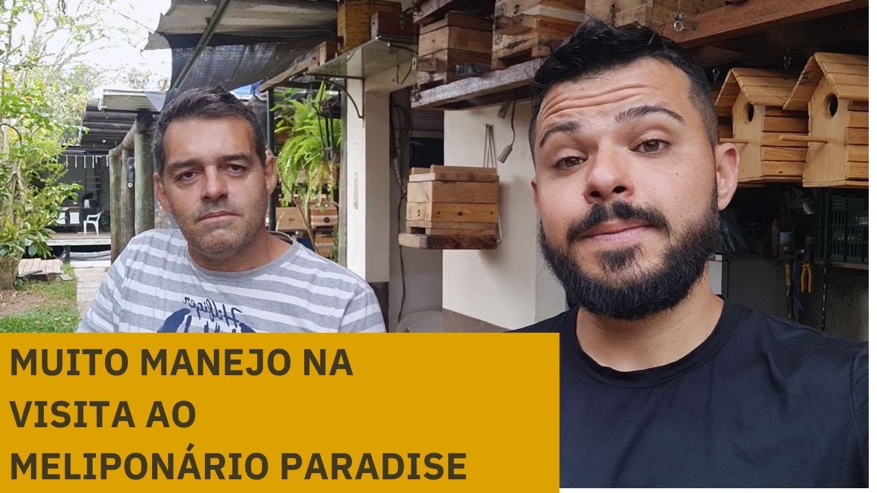 Visita Meliponário Paradise - Richard Fabri Bauru-SP @MeliponarioparadiseBauru