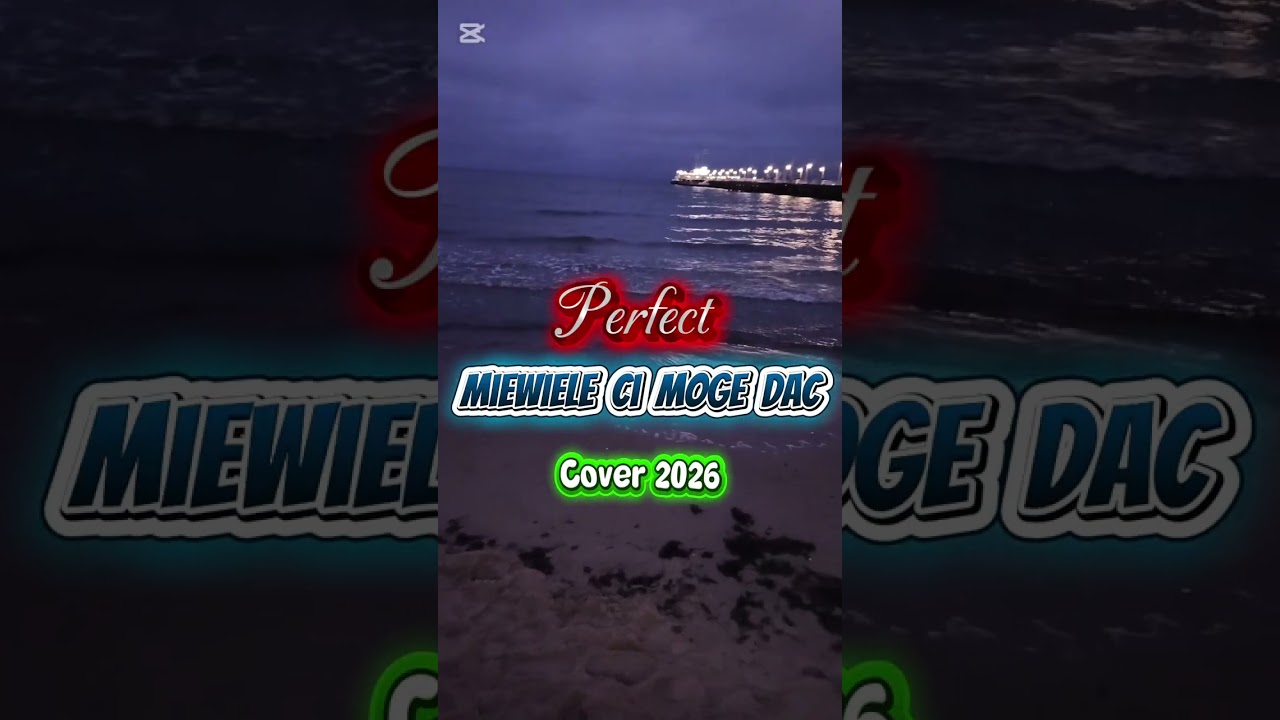 Perfect -Niewiele ci mogę dać (Cover 2026) Seba_dance#remix #music # #cover #dj #newmusic #perfect 