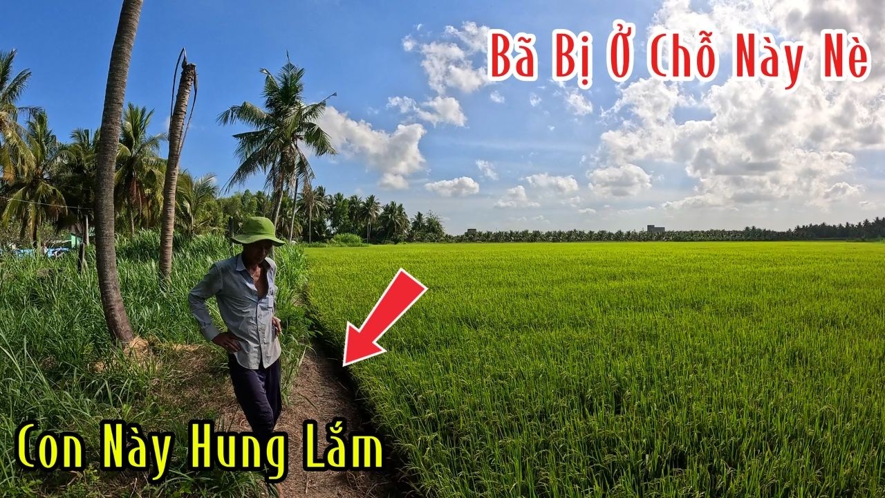 Chị Gái Xém Mất M.ạng Với Con Hổ Mang Này Rồi | Đam Mê Săn Bắt