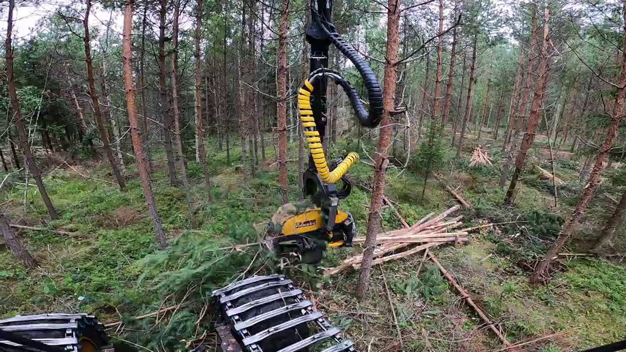 Harvennuksen jäävän puuston tiheyden tarkastaminen runkoluku menetelmällä. Ponsse Scorpion King H7.