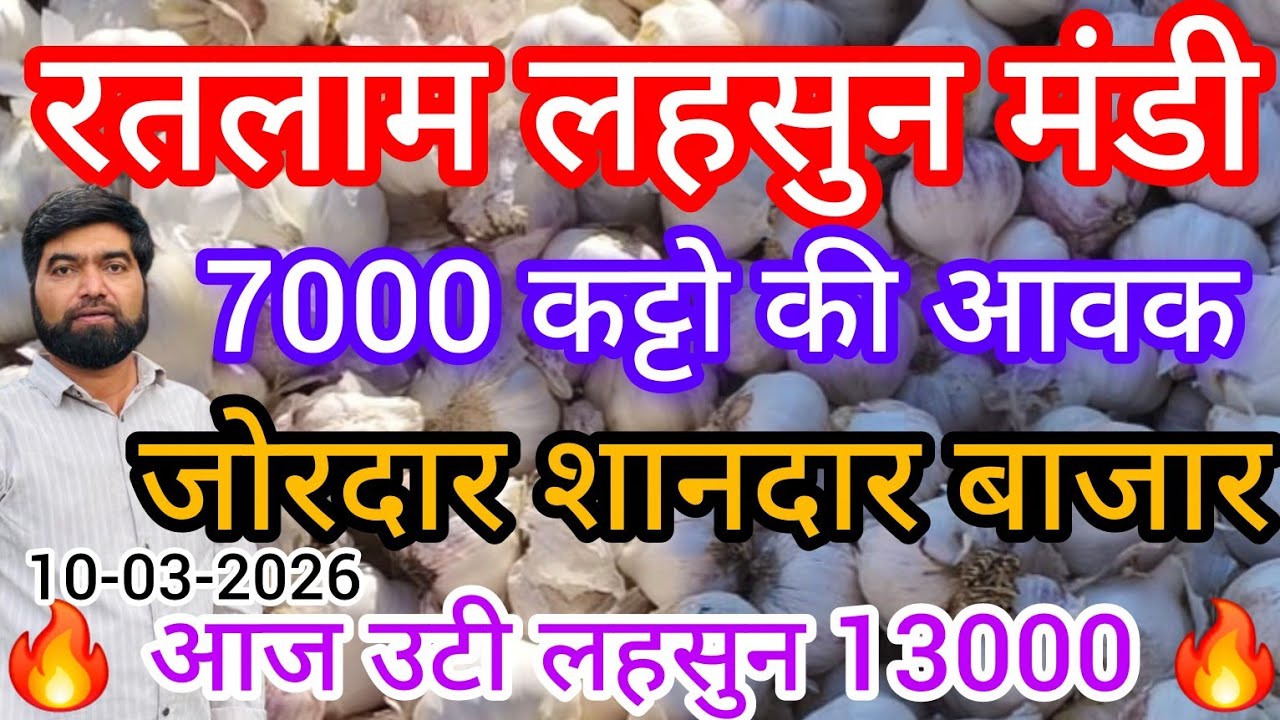 रतलाम मंडी शानदार खुले लहसुन में बाजार  !! Today Garlic price in ratlam m.p mandi  !!