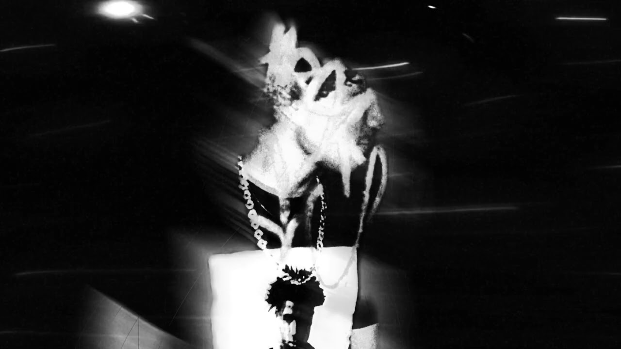 I love it she love it - drac (visualizer)