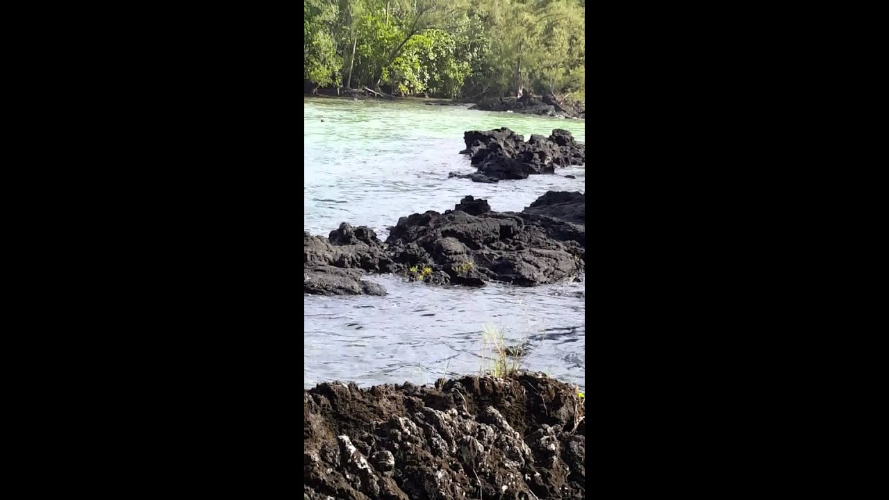Carlsmith Beach Park Keaukaha Hawaii