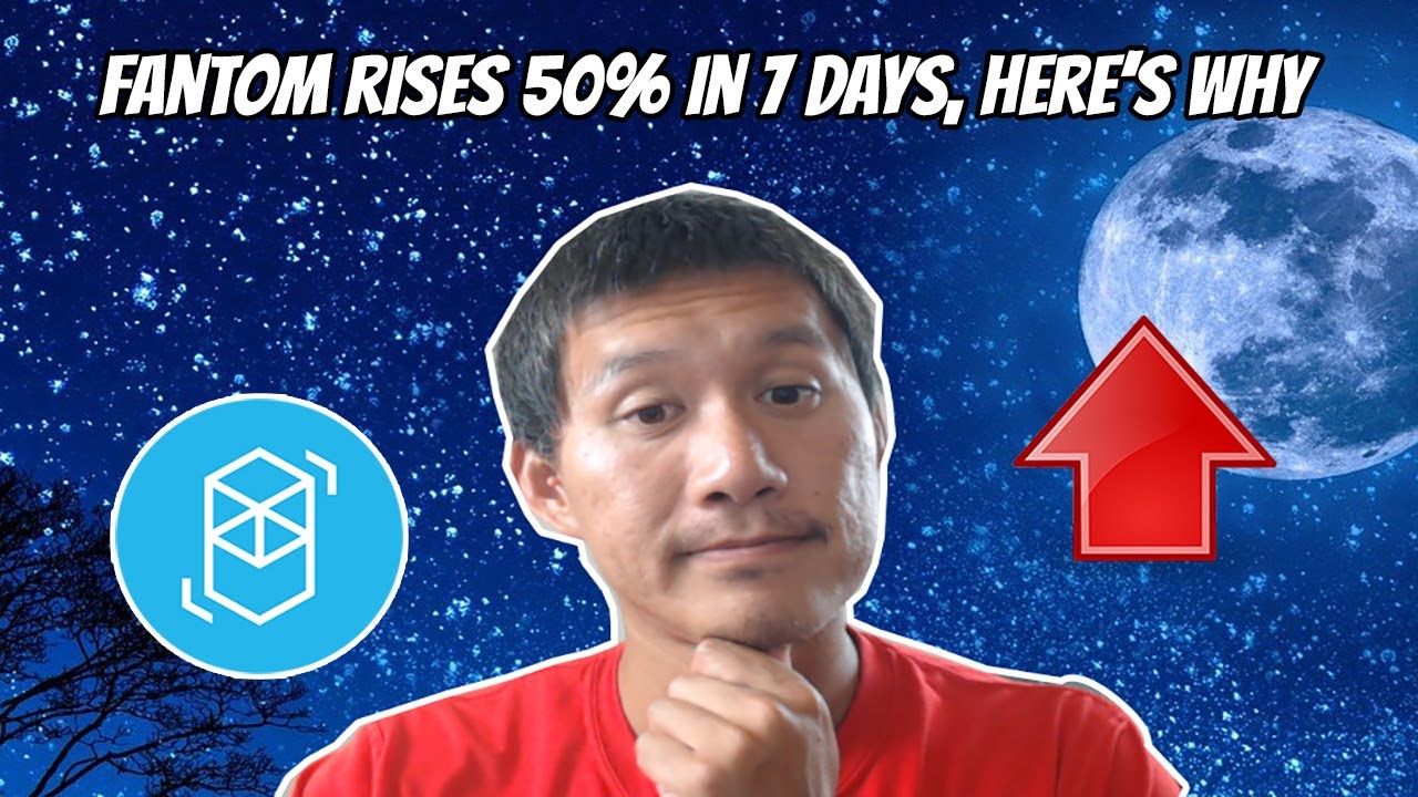Fantom rises 50% in a week. Here's why. Is it good for the future?