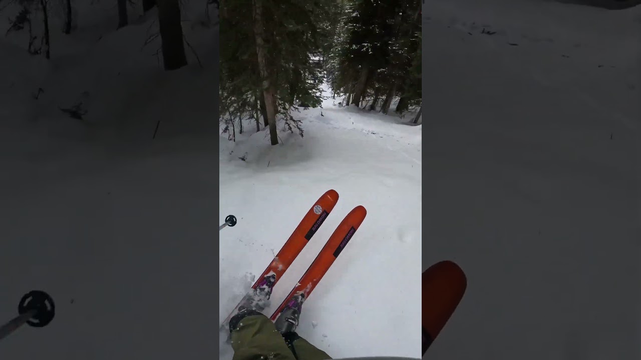 @GoPro  @vail  trees on the #salomon #qst #freeski #skiing #local #ski #gopro 12/28/2024