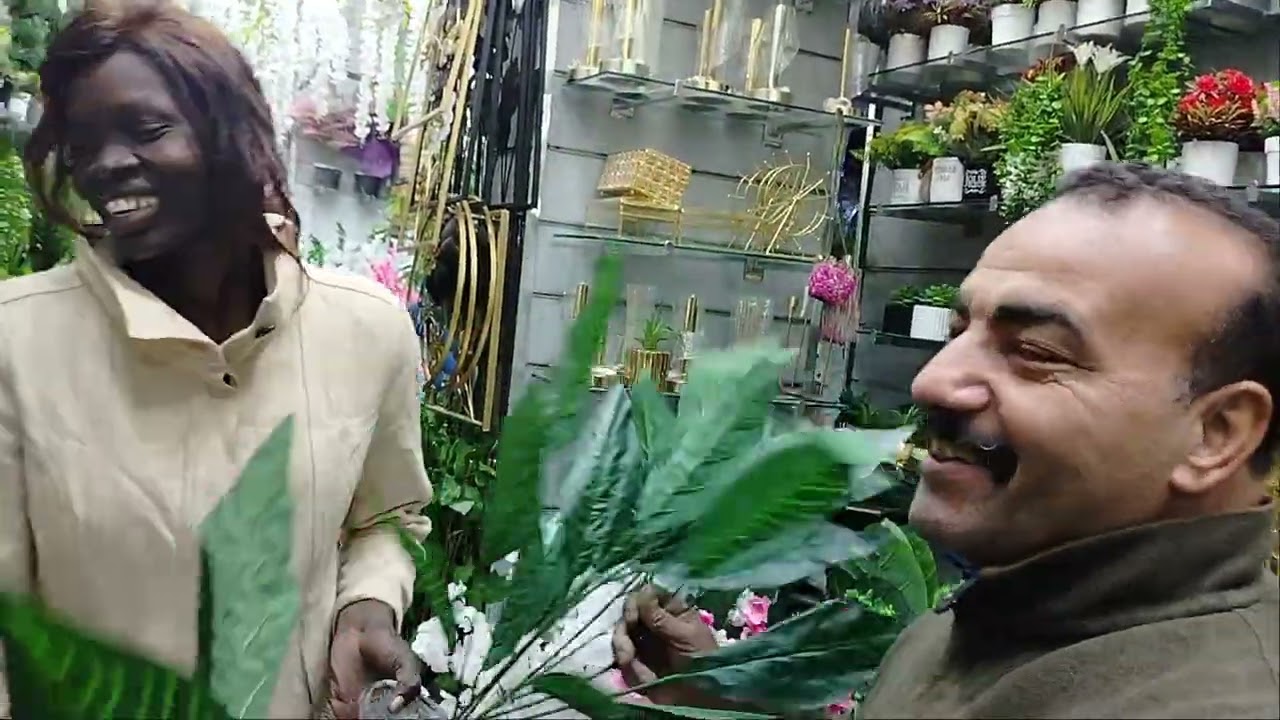 عندنا شجر وعندنا هزار😂😂😂✌🏼✌🏼😍😍☘️☘️🌿🩵🩵😎😎😎😍😍😍والشجره بي 75ج و 100ج و 150💚🤍🤍🌿🌿☘️🌿☘️
