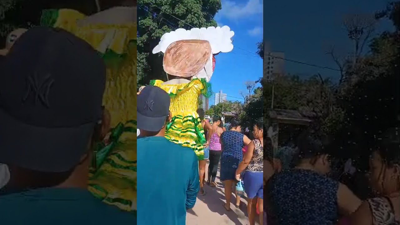 Folia da Vovó