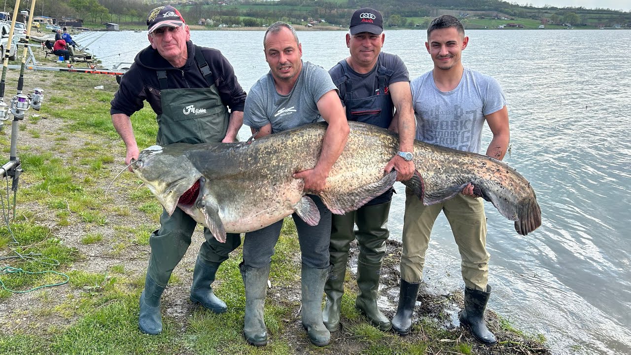 Som 90 kg, Gružansko jezero