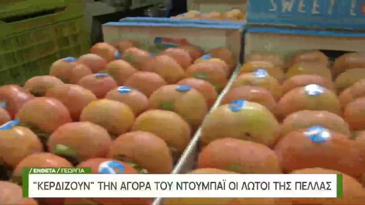 Έ&nu;&theta;&epsilon;&tau;&omicron; &Gamma;&epsilon;&omega;&rho;&gamma;ί&alpha; | &Lambda;&omega;&tau;&omicron;ί &alpha;&pi;ό &tau;&eta;&nu; &Pi;έ&lambda;&lambda;&alpha; &kappa;&epsilon;&rho;&delta;ί&zeta;&omicron;&upsilon;&nu; &tau;&eta;&nu; &alpha;&gamma;&omicron;&rho;ά &tau;&omicron;&upsilon; &Nu;&tau;&omicron;&upsilon;&mu;&pi;ά&iota; | &Epsilon;&Rho;&Tau;