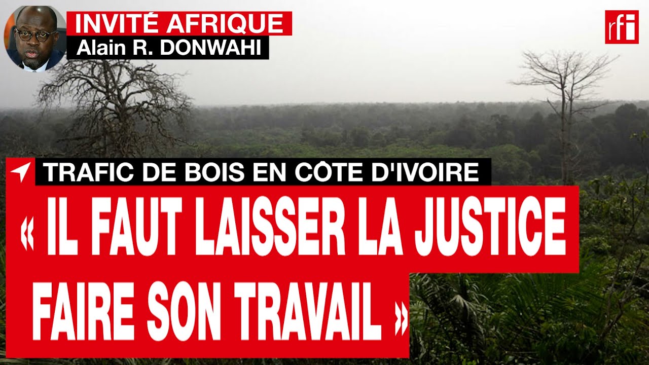 Trafic de bois en Côte d’Ivoire : « Il faut laisser la justice faire son travail » • RFI