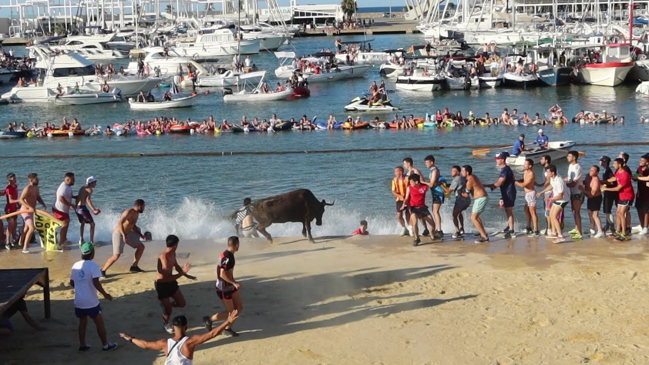 Bous a la Mar. Denia 09.07.2022 , Ganadería la Paloma