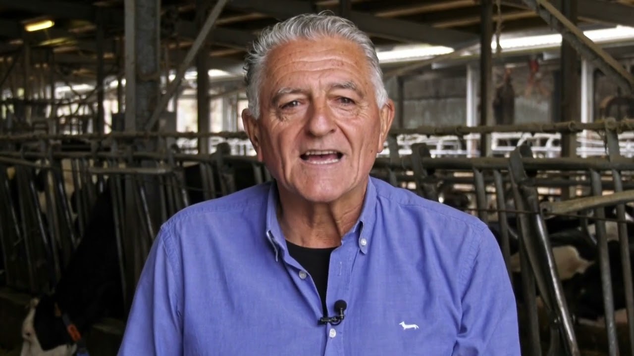 All'origine del Parmigiano Reggiano: l'allevatore. Tino Brugnoli, Azienda Agricola F.lli Brugnoli.