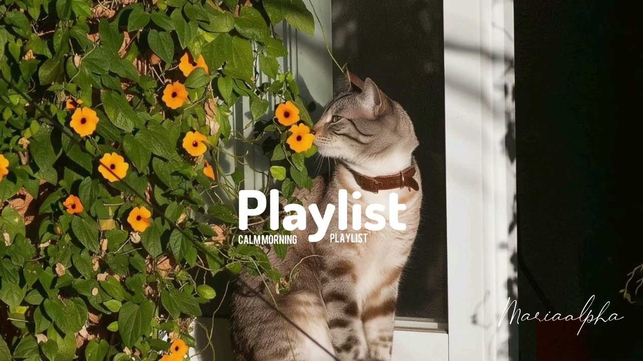Slow Morning Playlist 🎧 | Hope you enjoy!