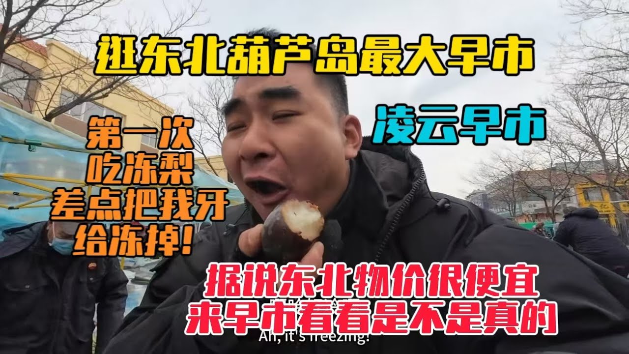 實拍東北葫蘆島最大的凌雲早市，看看東北的真實物價是否便宜，第一次吃凍梨，差點沒把我牙給凍掉！