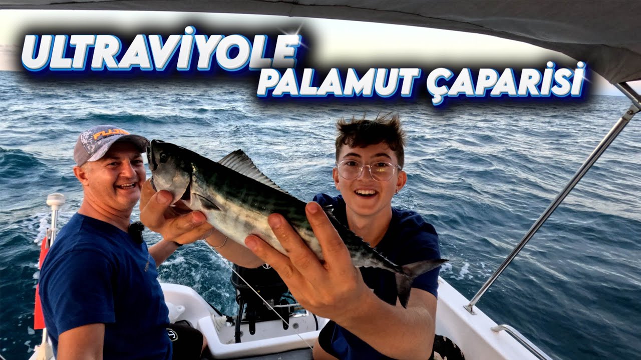 2024 PALAMUT AVI - KARADENİZ PALAMUT AVI - ÇAPARİ İLE PALAMUT AVI - BALIK BULUCU İLE PALAMUT AVI