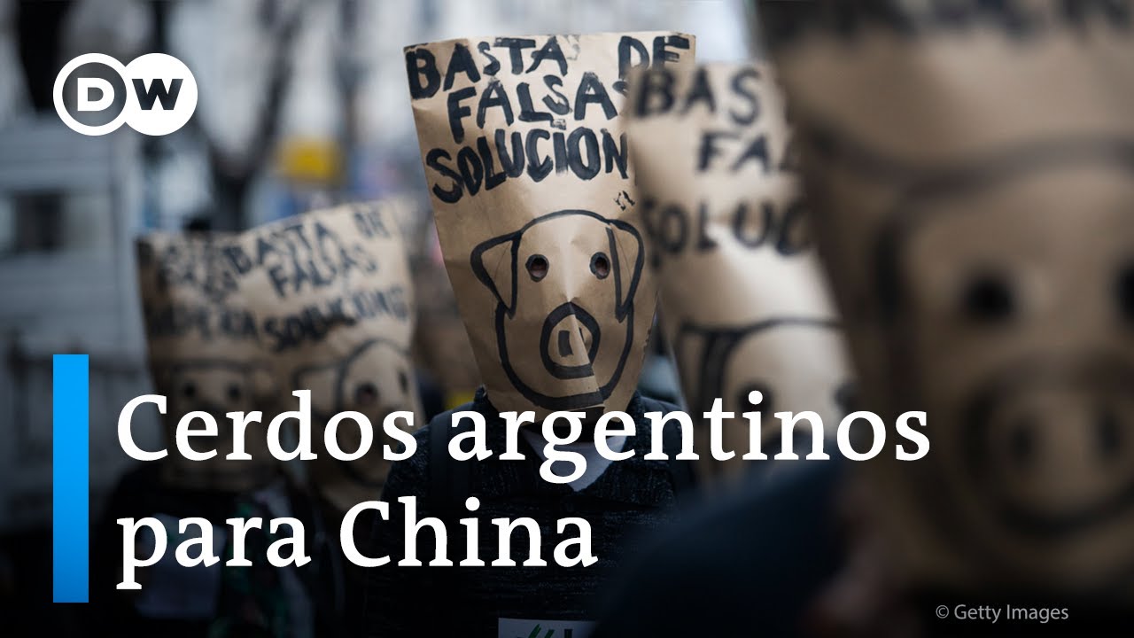 Pol&eacute;mica por el acuerdo con China para importar carne