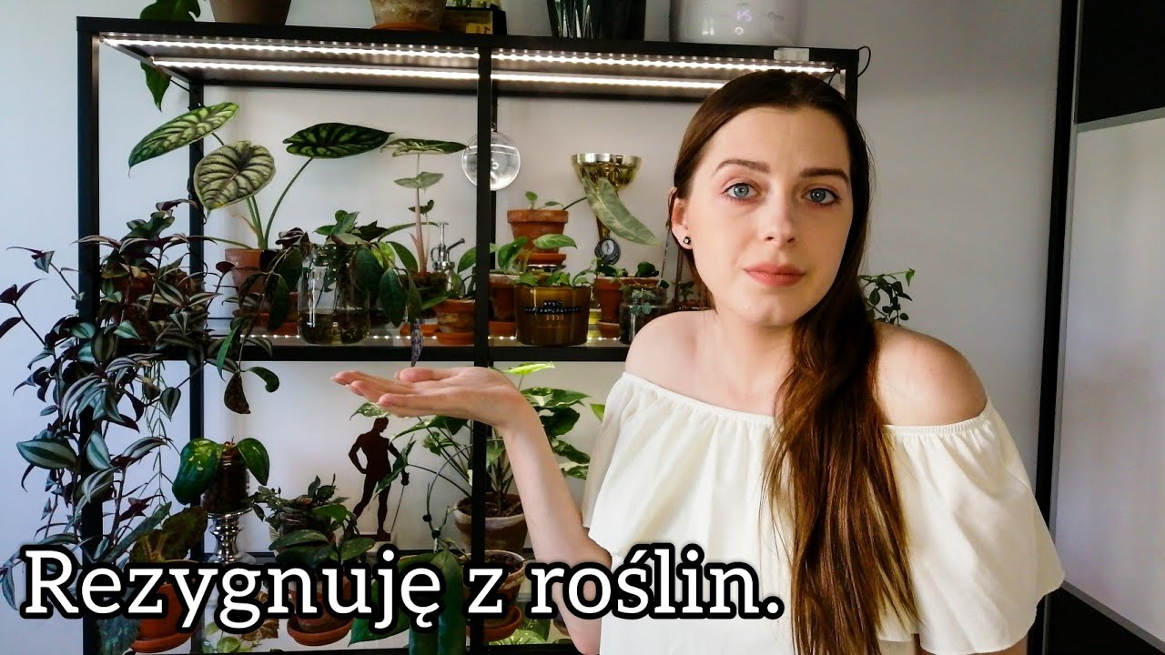 Pozbywam się roślin 😔🌱 Wpływ roślinomaniactwa na samopoczucie 🌿
