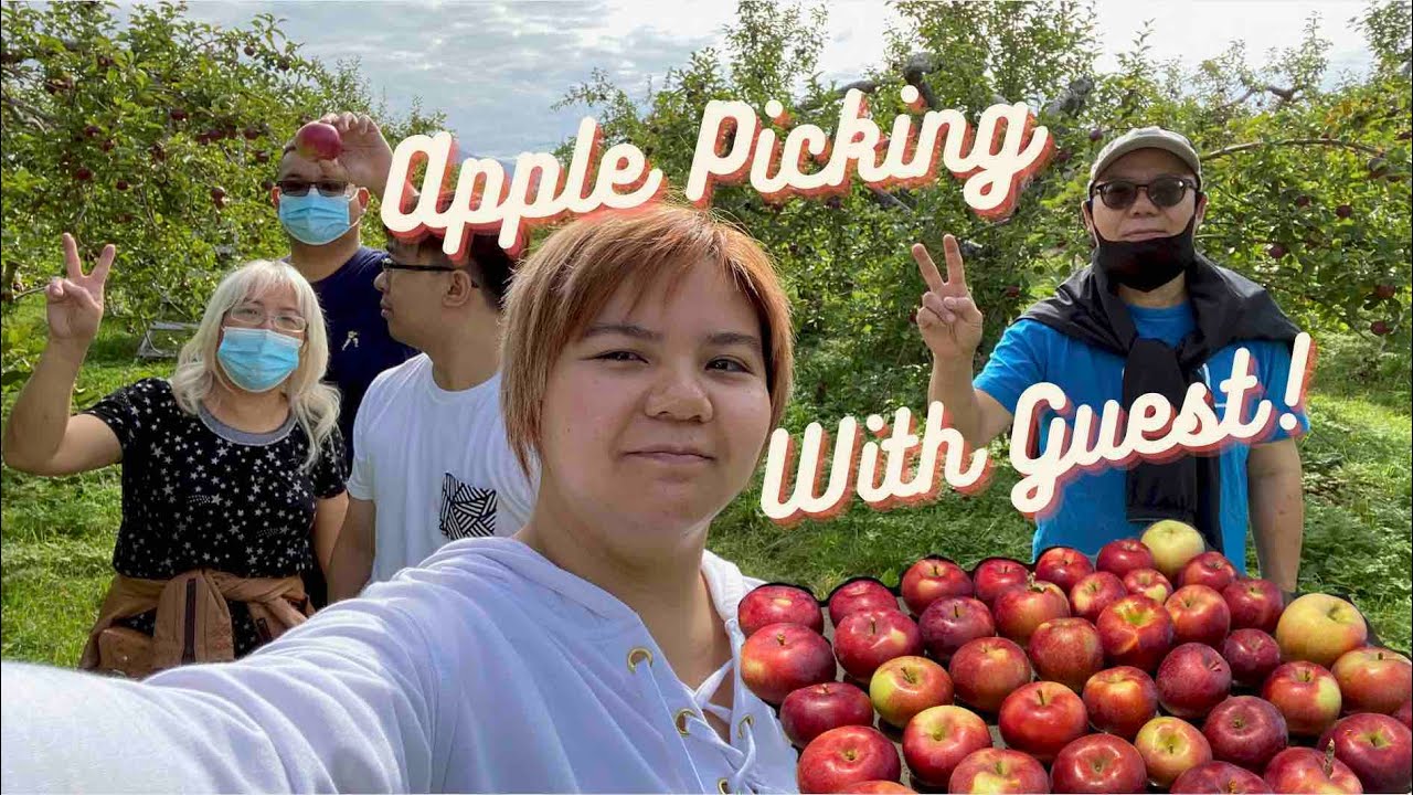 Apple Picking with a Special Guest!