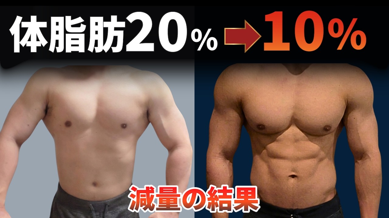 【人体実験】90日間のラクな減量で体脂肪率20%→10%になった全記録