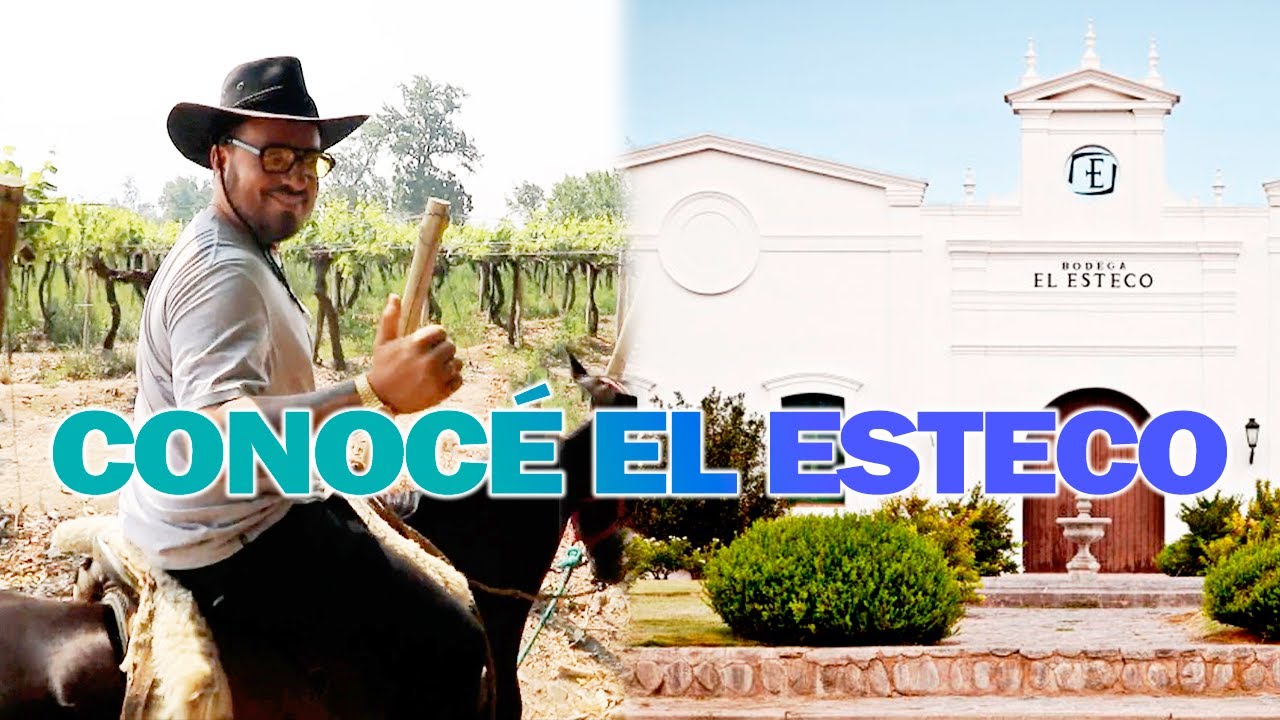 EXPERIENCIA ÚNICA: Fede Bal degustó vinos de la famosa bodega El Esteco junto a una cabalgata ideal
