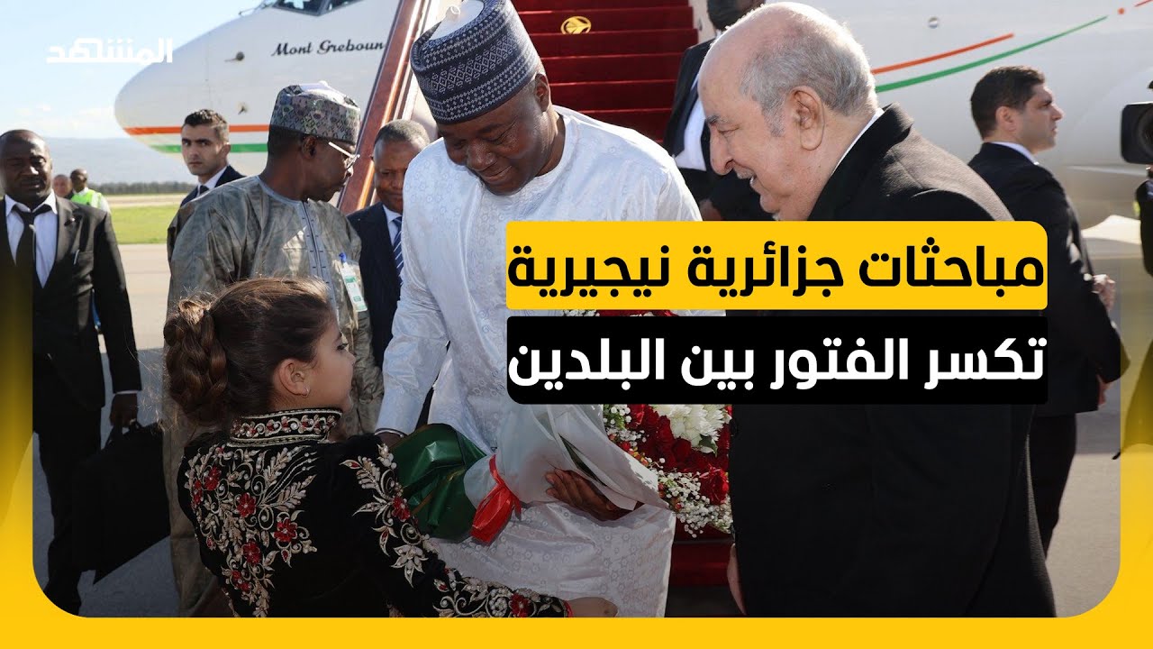 تعاون بين الجزائر والنيجر في مجالات الطاقة والدفاع