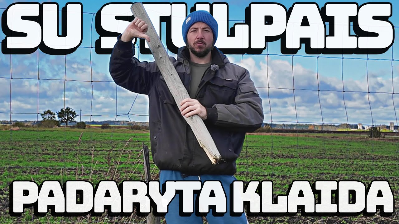Kiek laiko stovi tvora su mediniais stulpais?