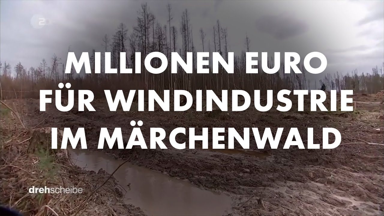 Millioneneinnahmen für Windindustriegebiet im Märchenwald (TV Bericht) ❌