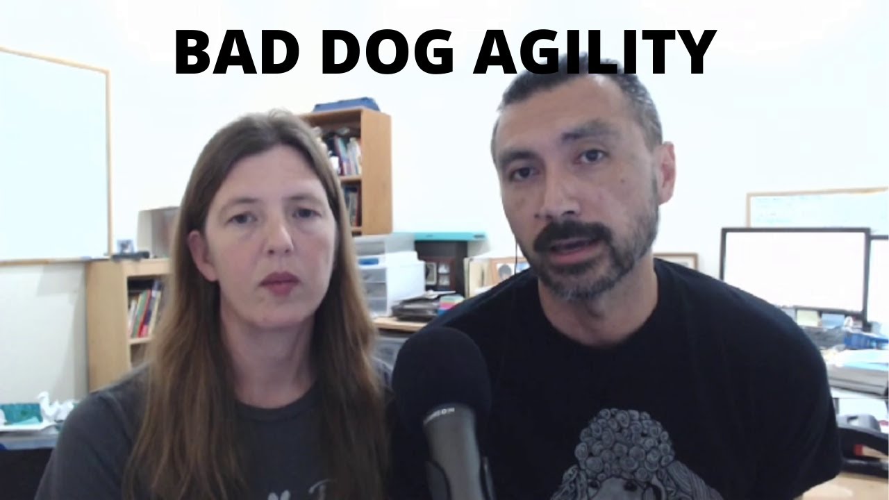 Bad Dog Agility