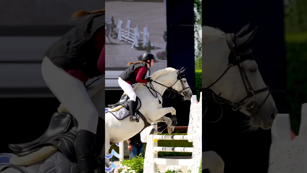 Spectacular Slow Motion Jump: Helite Rider's Graceful Horse Show Performance 😍😍
