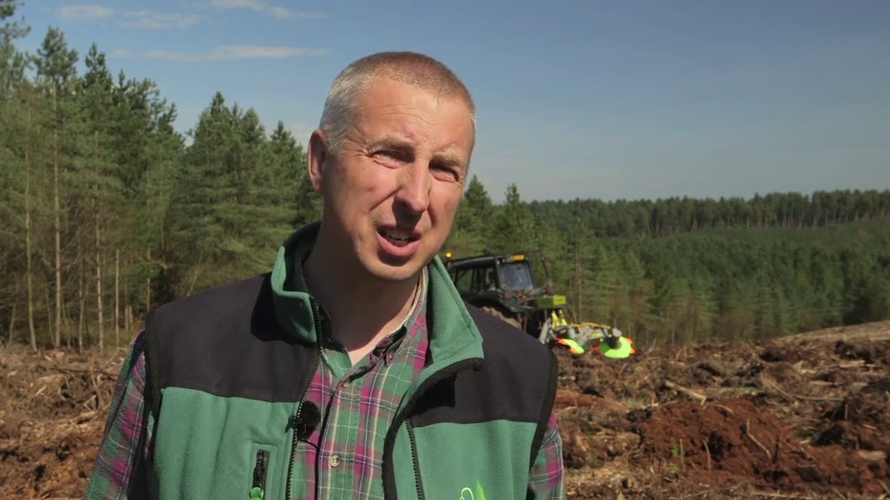Replanting the nation's forests