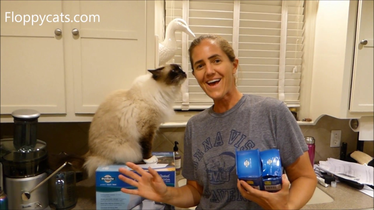 Cat Fountain Product Review: PetSafe Drinkwell Pagoda Cat Water Fountain