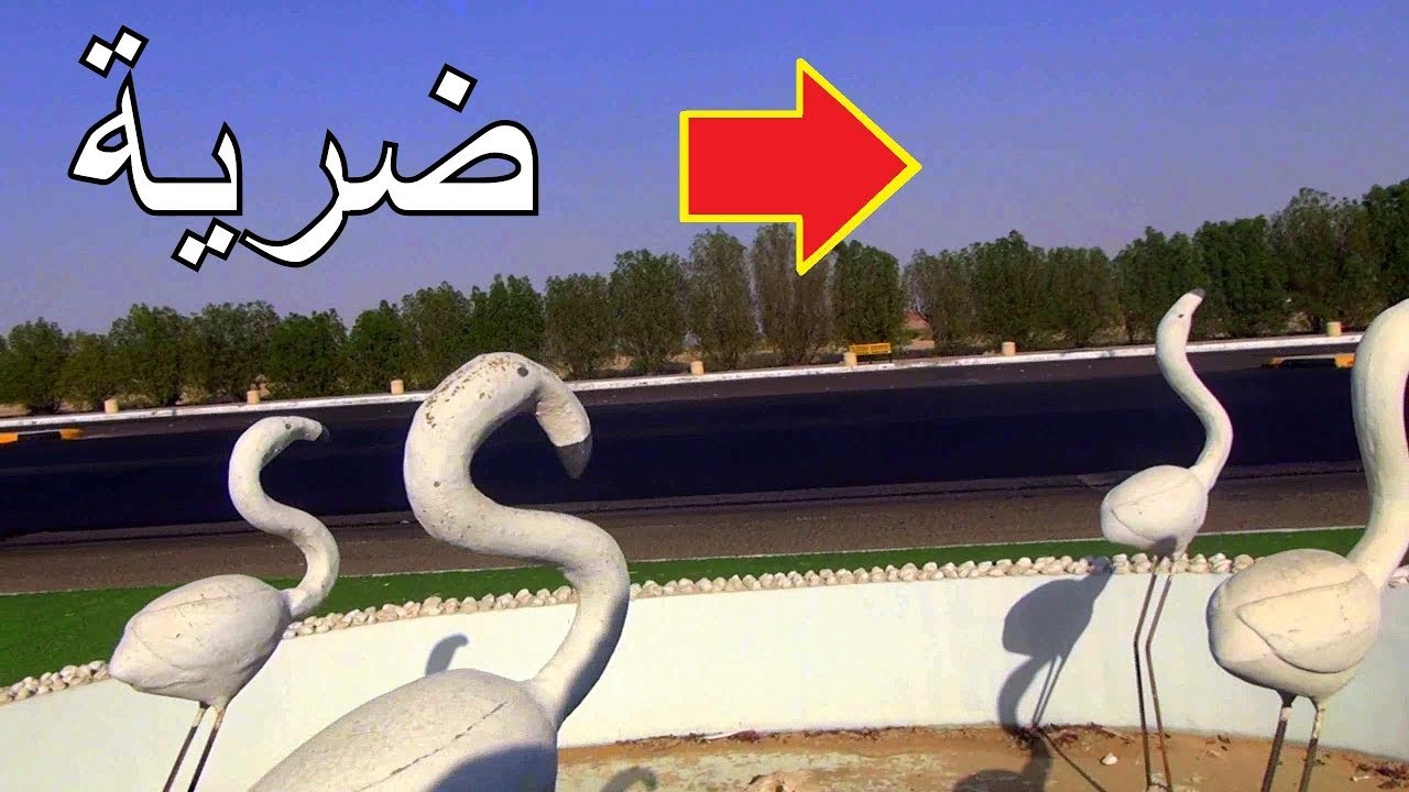 ضرية | ديرة مكارم الأخلاق