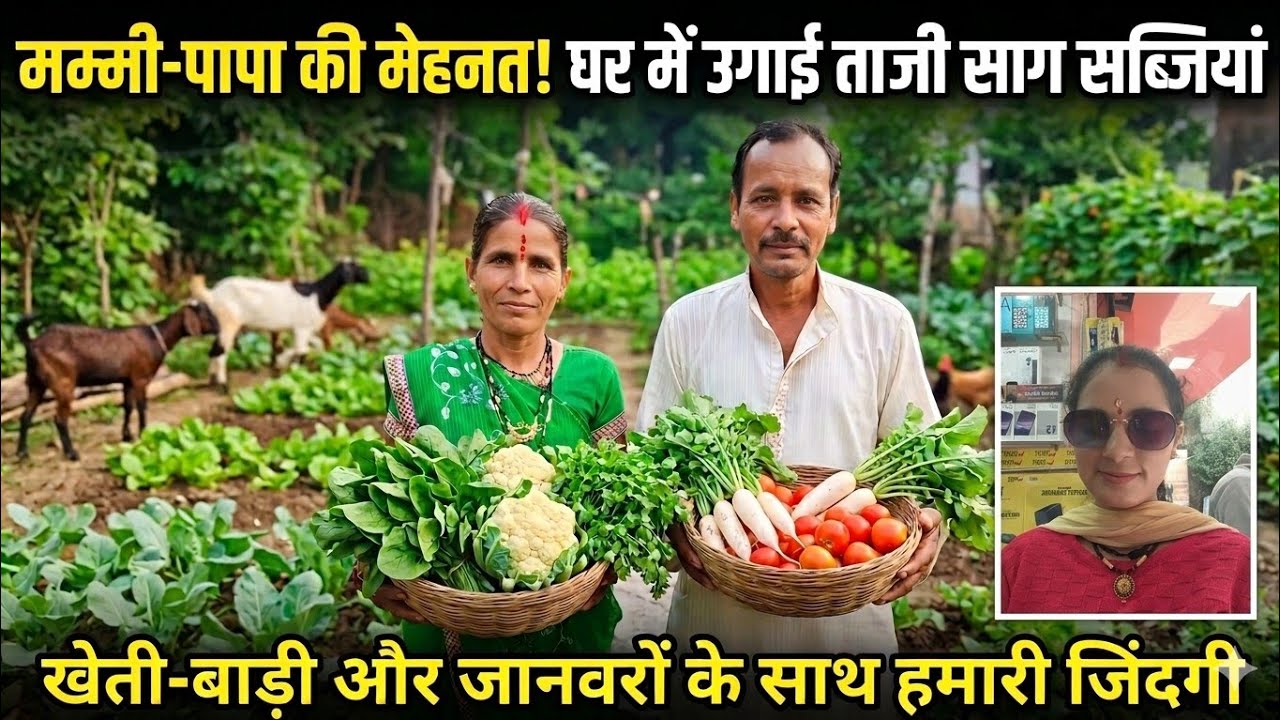 मेरे मम्मी पापा की मेहनत 🙏🌳 pahadi vegetables,#viral video #sunitaphadipithoragarbati