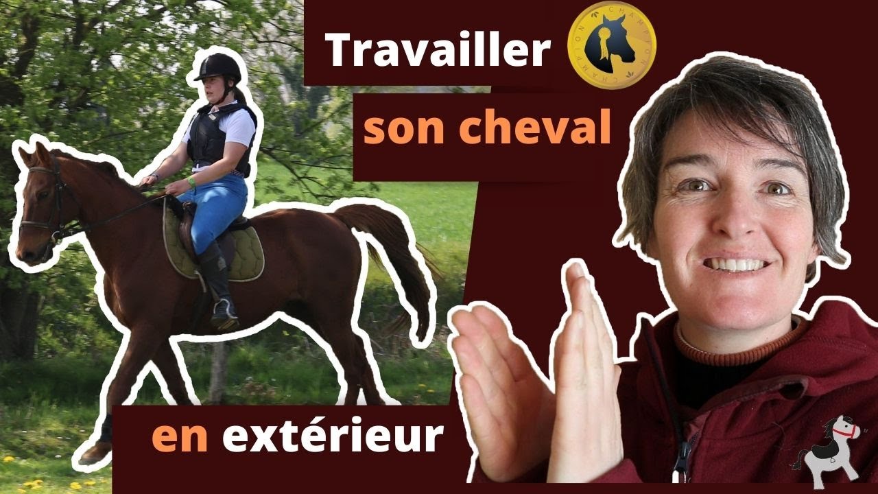 Comment travailler son cheval SANS carrière ? 🐴MES EXERCICES.