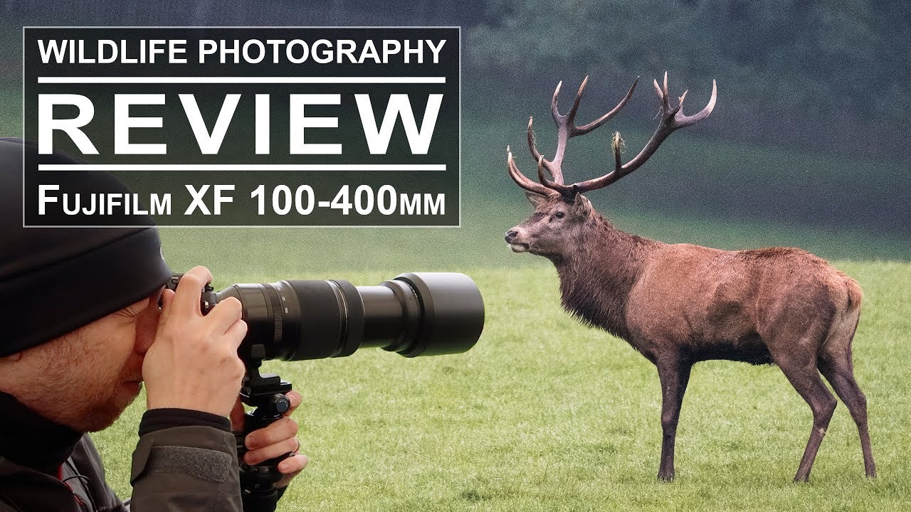 Wildlife Photography with the Fujifilm XF 100-400mm Lens | Review + Test + Sample Pictures