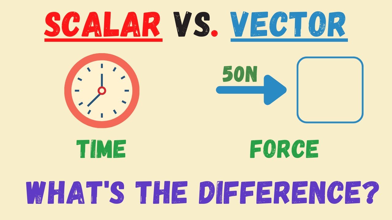 Scalar Quantities Vs. Vector Quantities - What&rsquo;s the Difference