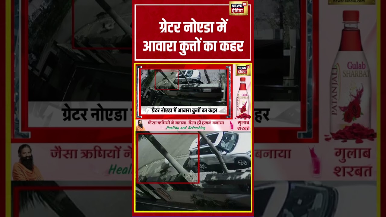 Greater Noida में आवारा कुत्तों का कहर | #shorts #viralvideo #viralnews #streetdog
