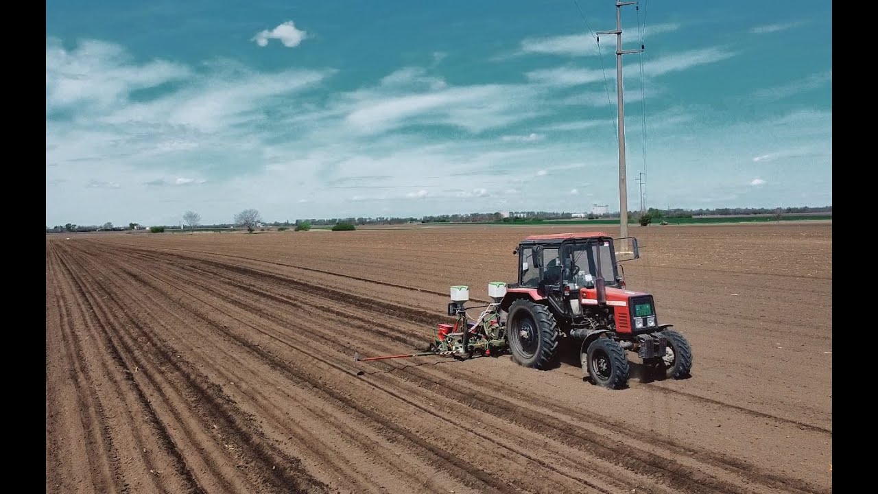 Setva 2021! ( Planting 2021 ) 2k*