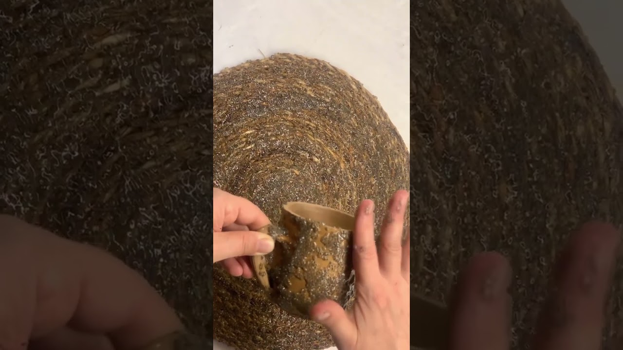 Chia tohumu &ccedil;imlendirme
