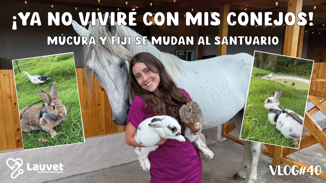 ¡Ya No Viviré Con Mis Conejos! | Múcura y Fiji se mudan al santuario - Lauvet
