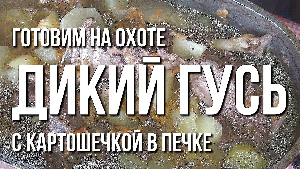 Готовим на охоте. Дикий гусь с картошечкой в печке