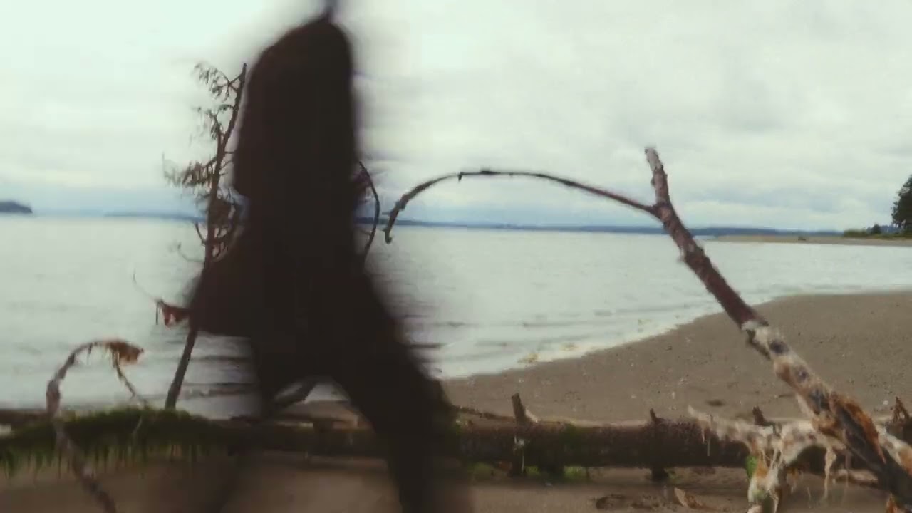 slenderbodies - surface (visualette)