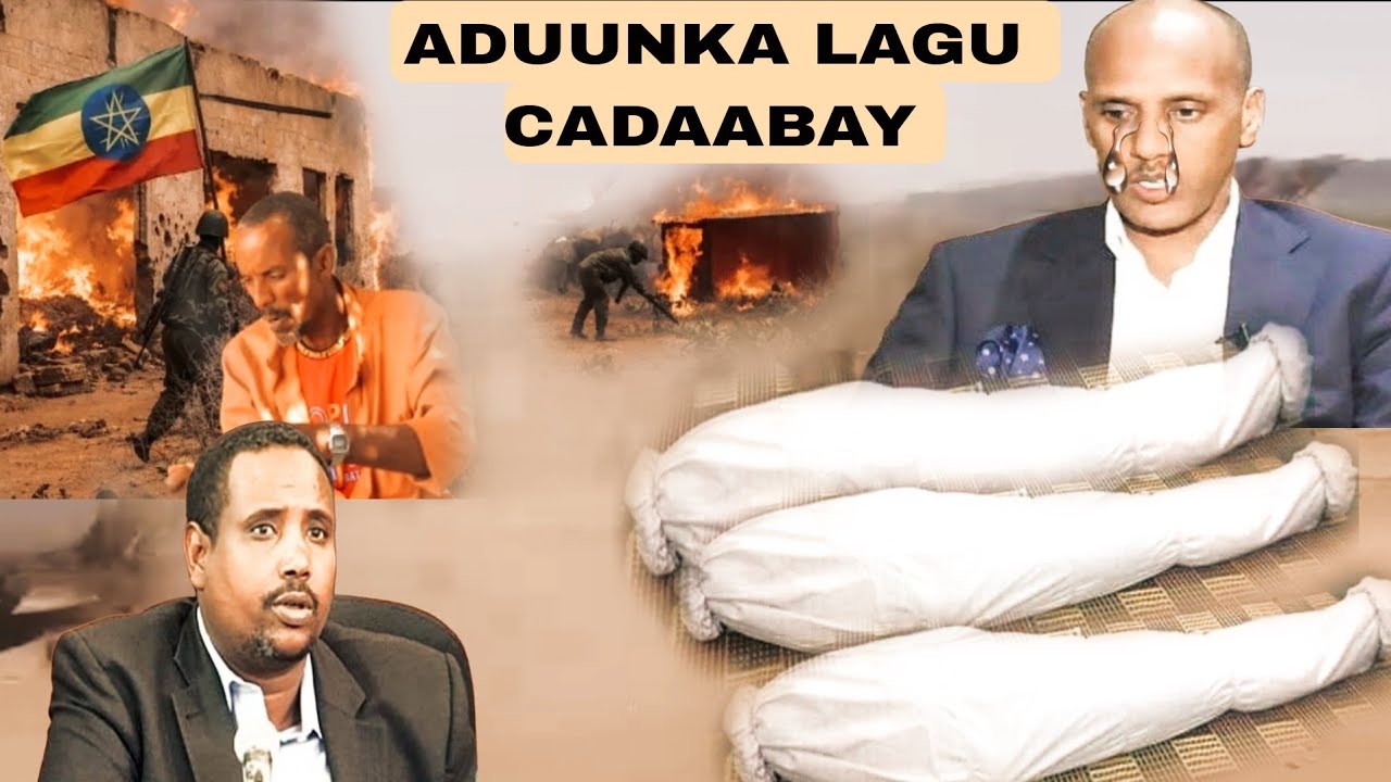 Daawo Dhacdo xanuun Badan Dad Noolasha lagu Aasay Abdi ilay ,Magaalo dhan oo dadkii la xasuuuqay.