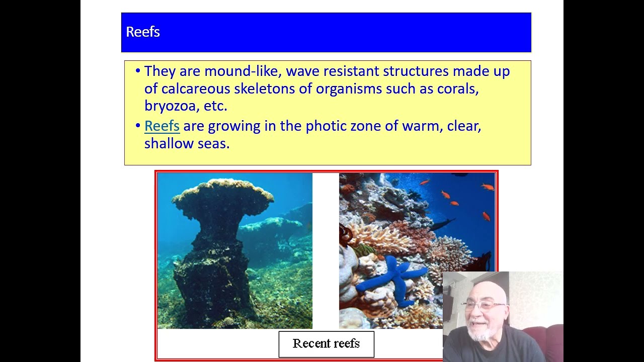 Sedimentation and sedimentary rocks (G204) marine environment (part two)